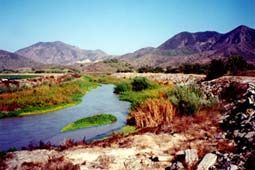 Calleguas Creek and University Drive